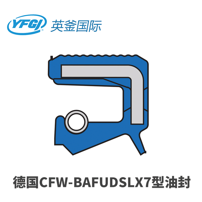 CFW-BAFUDSLX7型油封