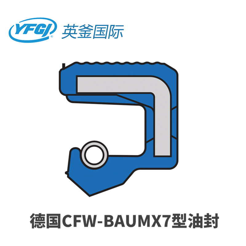 海淀CFW-BAUMX7型油封