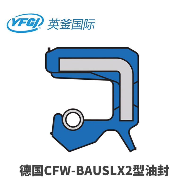 CFW-BAUMSLX7型油封