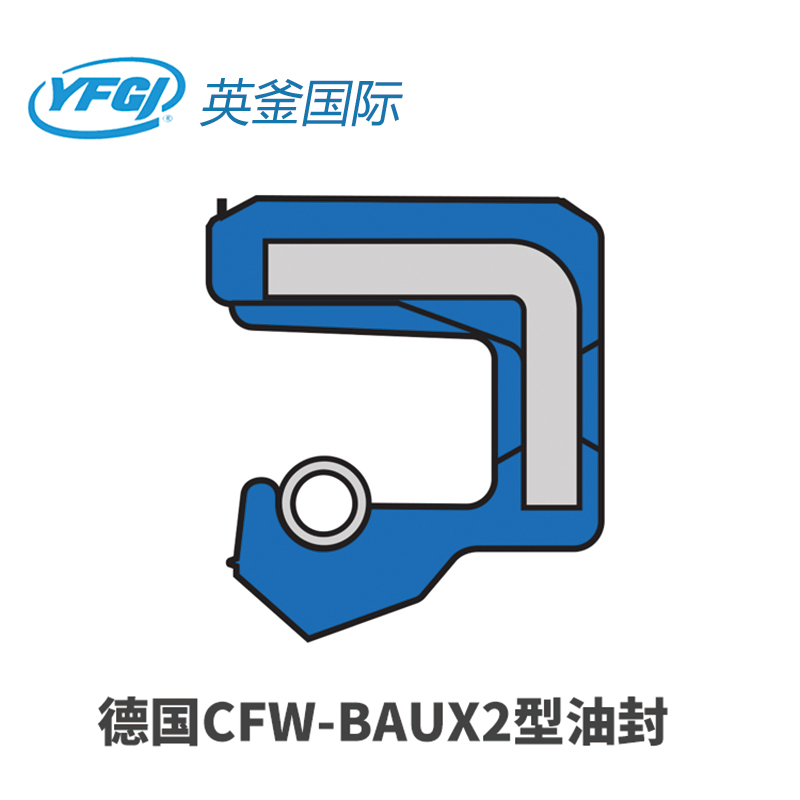 海淀CFW-BAUX2型油封