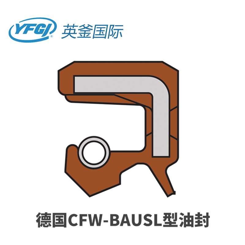 海淀CFW-BAUSL型油封